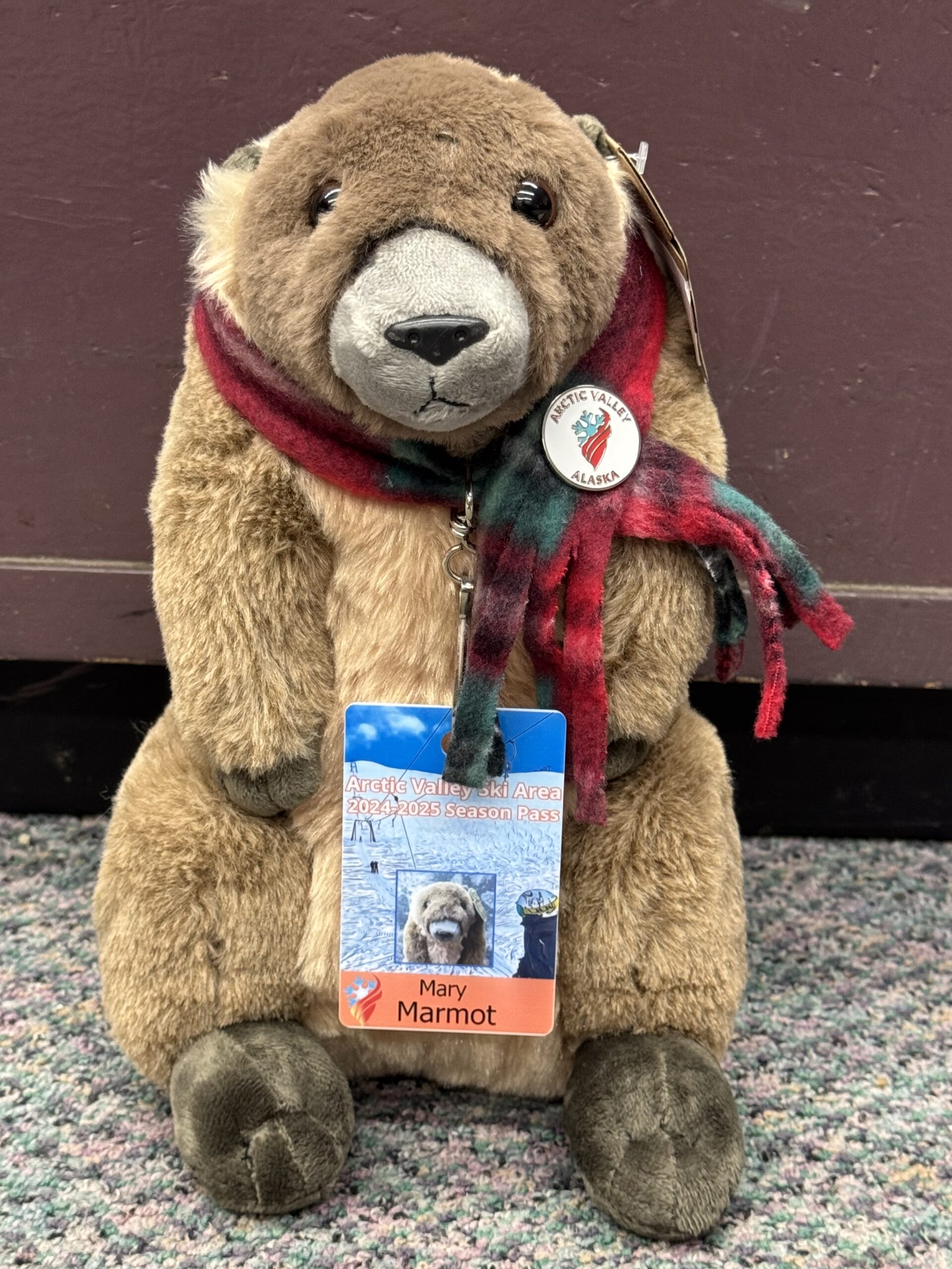 Arctic Valley Mary the Marmot Stuffed Animal – Arctic Valley Ski Area